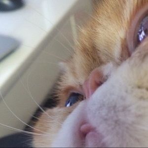 Meet your Posher, Delmy